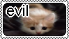 a photo of a kitten with the text 'evil'